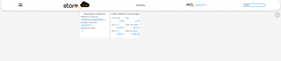 Figure n°8 : Page d’accueil
