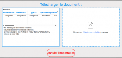 Figure n°5 : Pop-Up d'import.