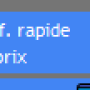modif_rapide.png